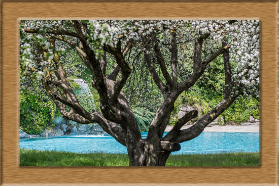 Photo Gallery Campground